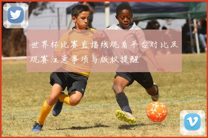 世界杯比赛直播线观看平台对比及观赛注意事项与版权提醒