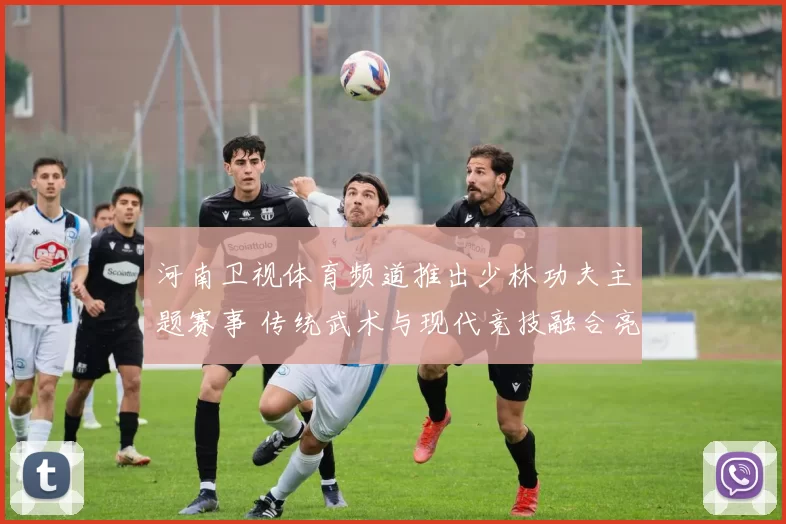 河南卫视体育频道推出少林功夫主题赛事 传统武术与现代竞技融合亮相赛场