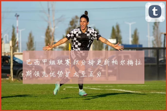 巴西甲组联赛积分榜更新帕尔梅拉斯领先优势扩大至五分