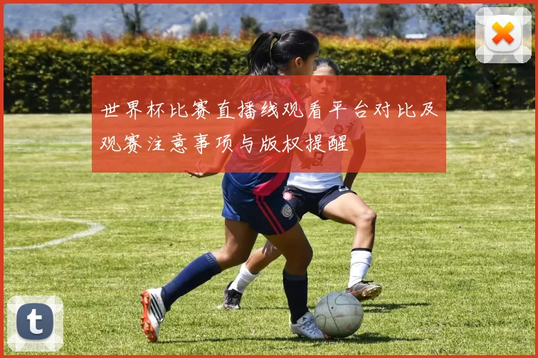 世界杯比赛直播线观看平台对比及观赛注意事项与版权提醒