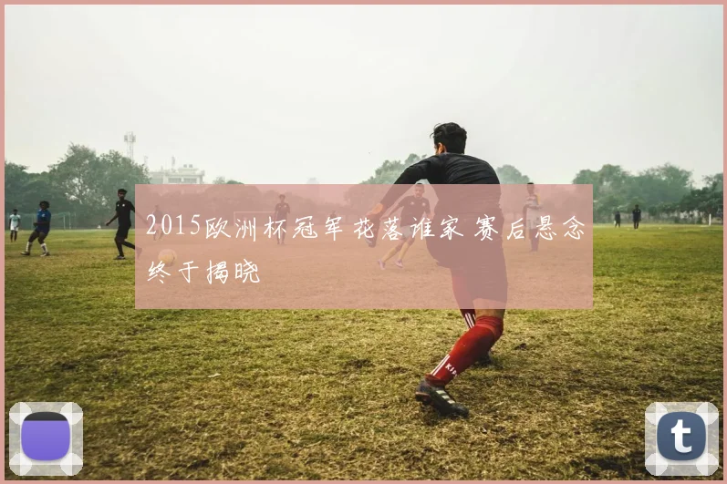 2015欧洲杯冠军花落谁家 赛后悬念终于揭晓