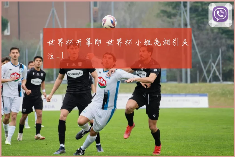 世界杯开幕即 世界杯小姐亮相引关注_1